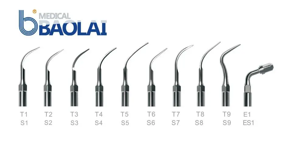 photo_5902380079957265498_y (1).webp